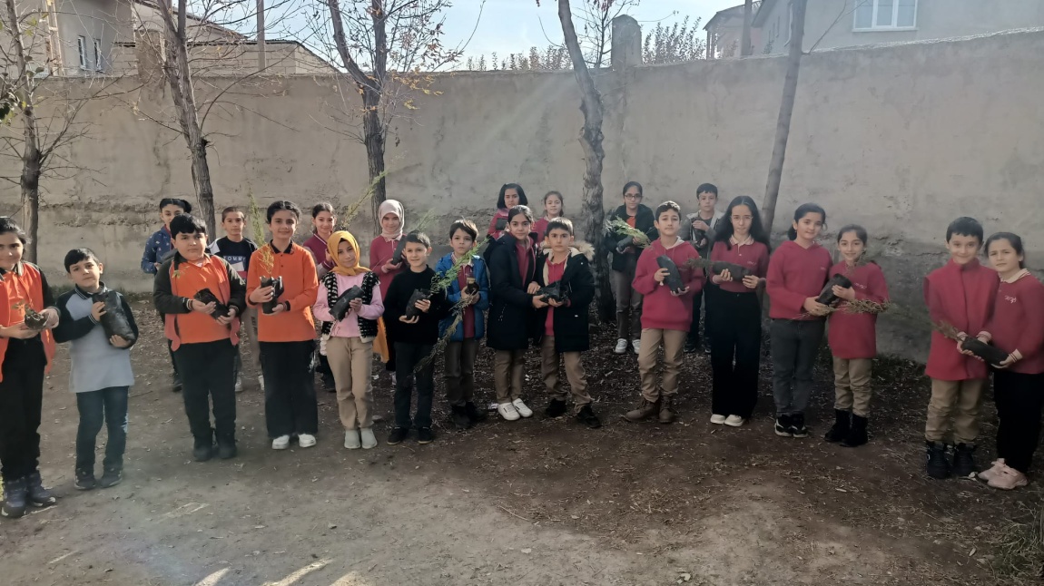 Okulumuz 3 ve 4. Sınıflar ÇEDES kulübü öğrencileri okulumuz bahçesine fidan diktiler
